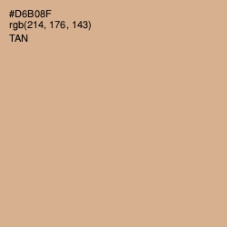 #D6B08F - Tan Color Image