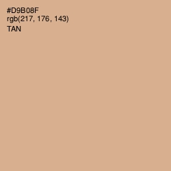 #D9B08F - Tan Color Image