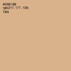 #D9B18B - Tan Color Image