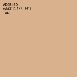 #D9B18D - Tan Color Image