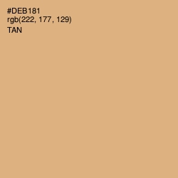 #DEB181 - Tan Color Image