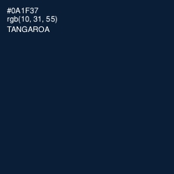 #0A1F37 - Tangaroa Color Image