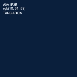 #0A1F3B - Tangaroa Color Image