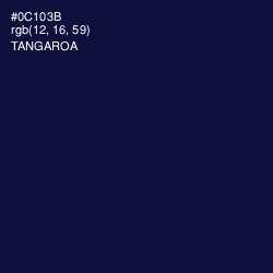 #0C103B - Tangaroa Color Image