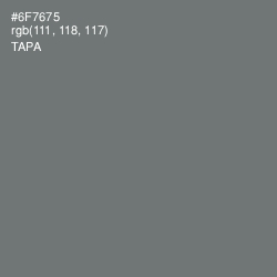 #6F7675 - Tapa Color Image