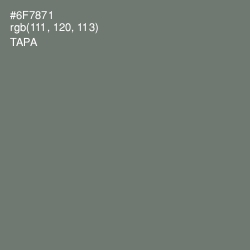 #6F7871 - Tapa Color Image