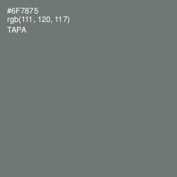 #6F7875 - Tapa Color Image