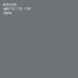 #707376 - Tapa Color Image