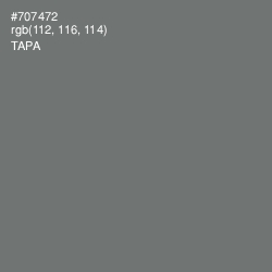 #707472 - Tapa Color Image