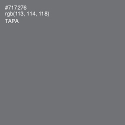 #717276 - Tapa Color Image