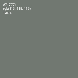 #717771 - Tapa Color Image