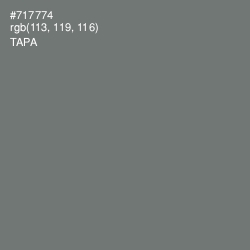 #717774 - Tapa Color Image