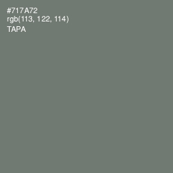 #717A72 - Tapa Color Image