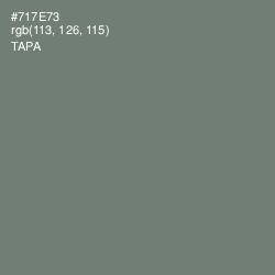 #717E73 - Tapa Color Image