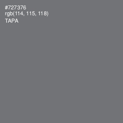#727376 - Tapa Color Image