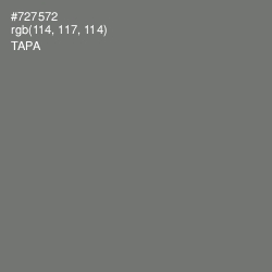 #727572 - Tapa Color Image