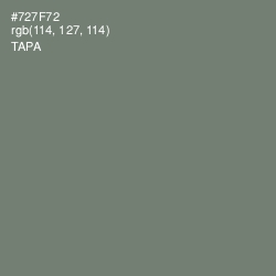 #727F72 - Tapa Color Image