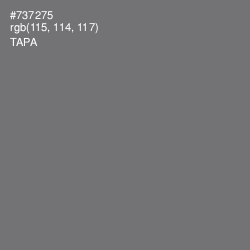 #737275 - Tapa Color Image