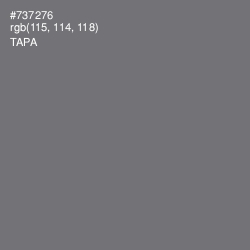 #737276 - Tapa Color Image