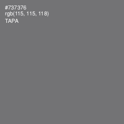 #737376 - Tapa Color Image