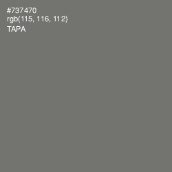 #737470 - Tapa Color Image