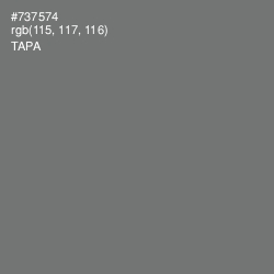 #737574 - Tapa Color Image