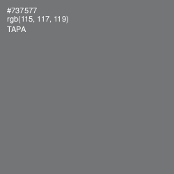 #737577 - Tapa Color Image