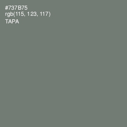 #737B75 - Tapa Color Image