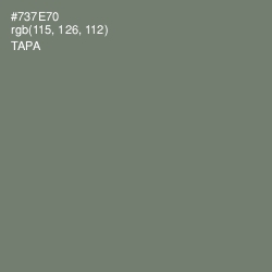 #737E70 - Tapa Color Image