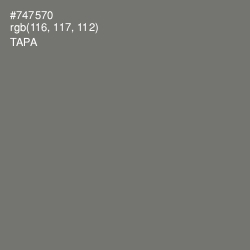 #747570 - Tapa Color Image