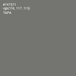#747571 - Tapa Color Image