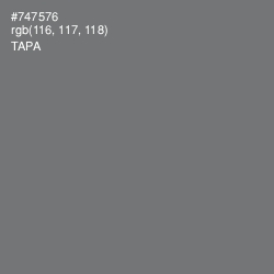 #747576 - Tapa Color Image