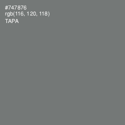 #747876 - Tapa Color Image