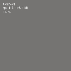 #757473 - Tapa Color Image