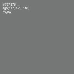 #757876 - Tapa Color Image