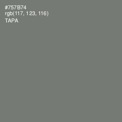 #757B74 - Tapa Color Image