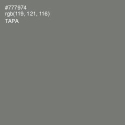 #777974 - Tapa Color Image