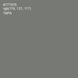 #777975 - Tapa Color Image