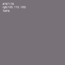 #787178 - Tapa Color Image