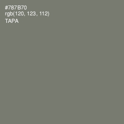 #787B70 - Tapa Color Image
