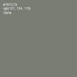 #797C73 - Tapa Color Image