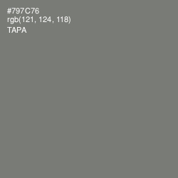 #797C76 - Tapa Color Image