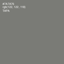 #7A7A76 - Tapa Color Image