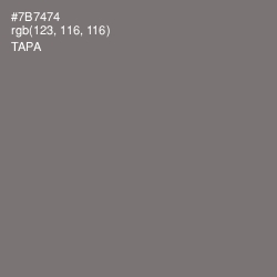 #7B7474 - Tapa Color Image