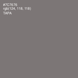 #7C7676 - Tapa Color Image