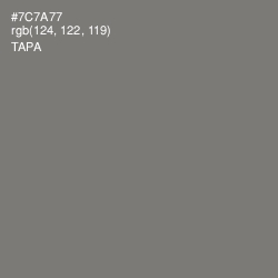 #7C7A77 - Tapa Color Image