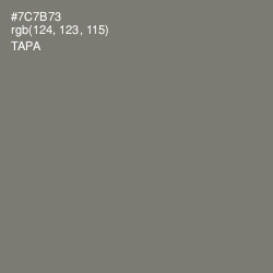 #7C7B73 - Tapa Color Image