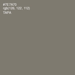#7E7A70 - Tapa Color Image