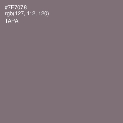 #7F7078 - Tapa Color Image