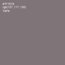 #7F7578 - Tapa Color Image